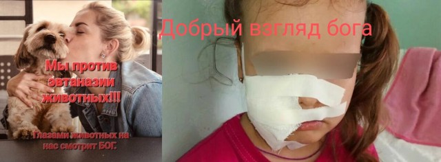 Митинг против бродячих собак в Астрахани