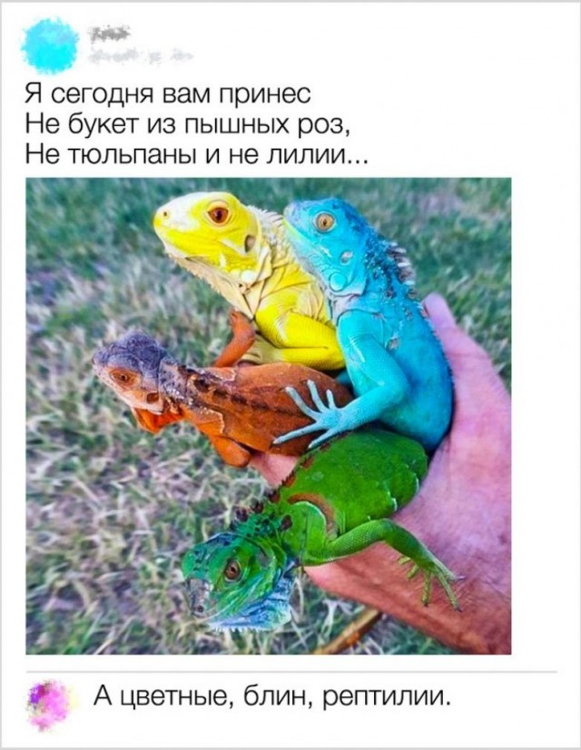 Немного разных картинок 13.05.23