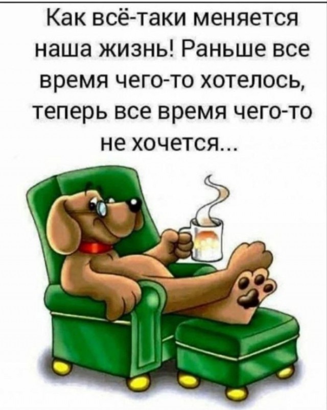Так себе картинки 04.06.23