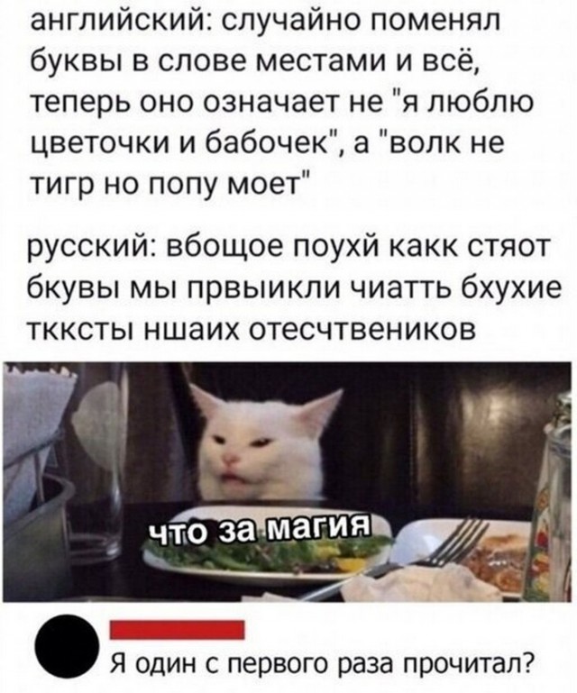 Так себе картинки 17.07.23