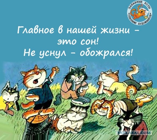 Жизнь после развода