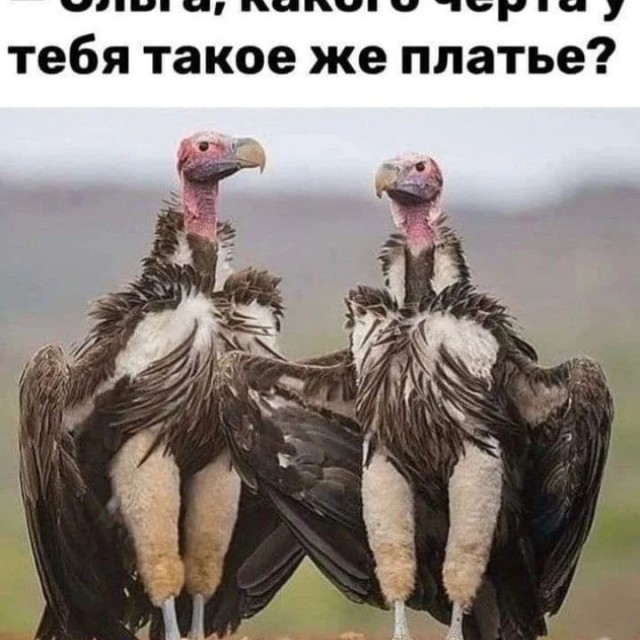 Отряд быстрого деградирования