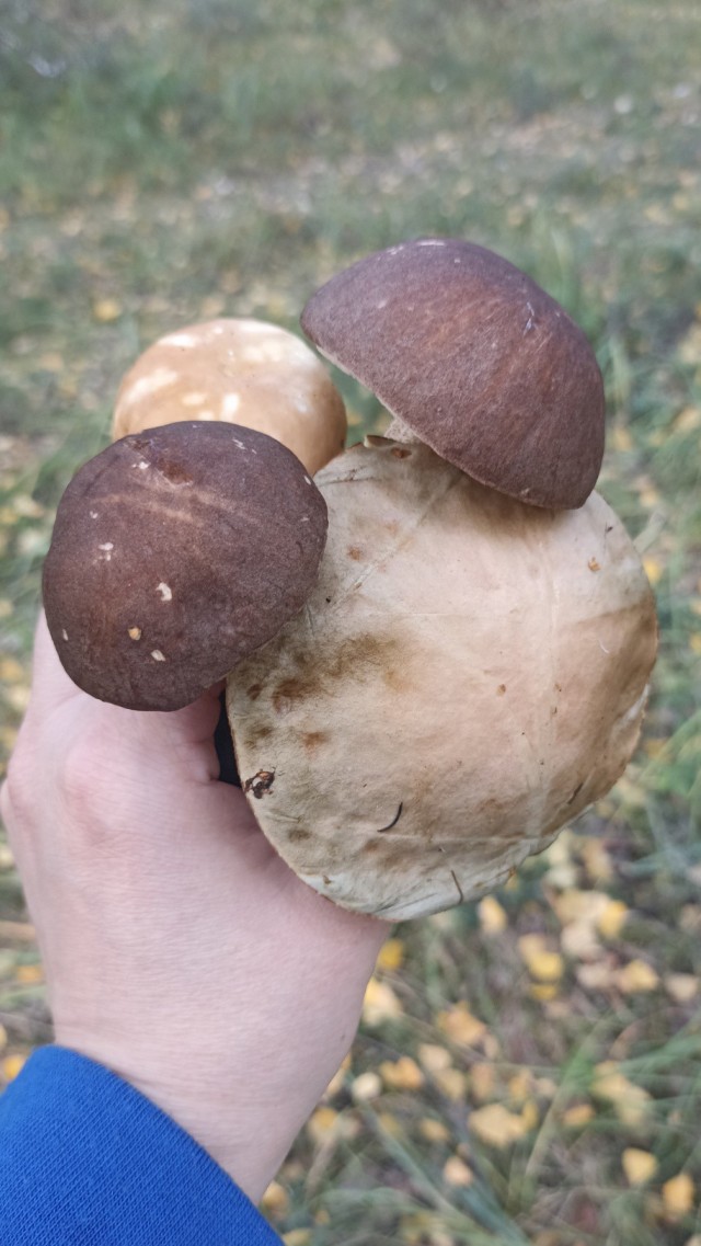 Природа. Урал