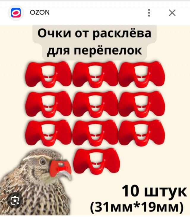 Веселая ферма: перепелки