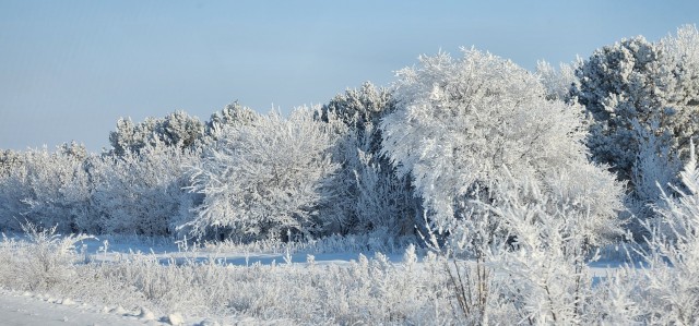 Самая последняя в галерее