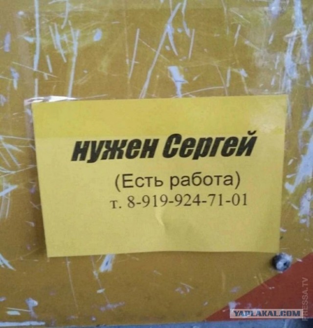 Забавные картинки ...