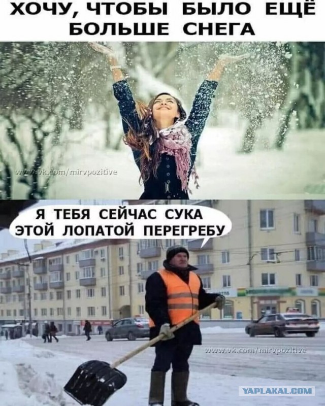 Москвичи, готовьтесь. Запасаемся едой