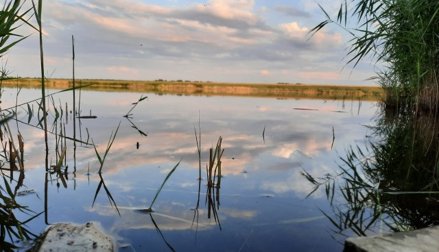 Фото с летней рыбалки