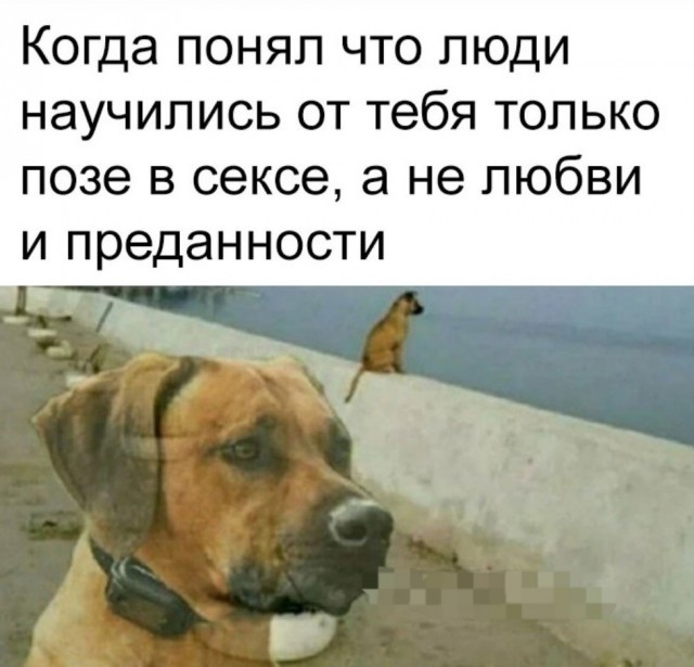 Так себе картинки 20.01.24