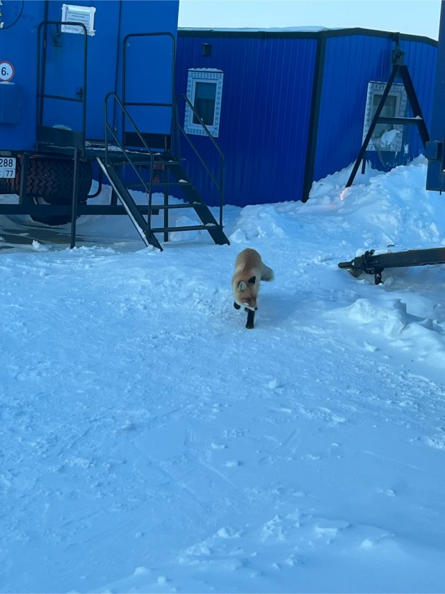 ФотоВинегрет