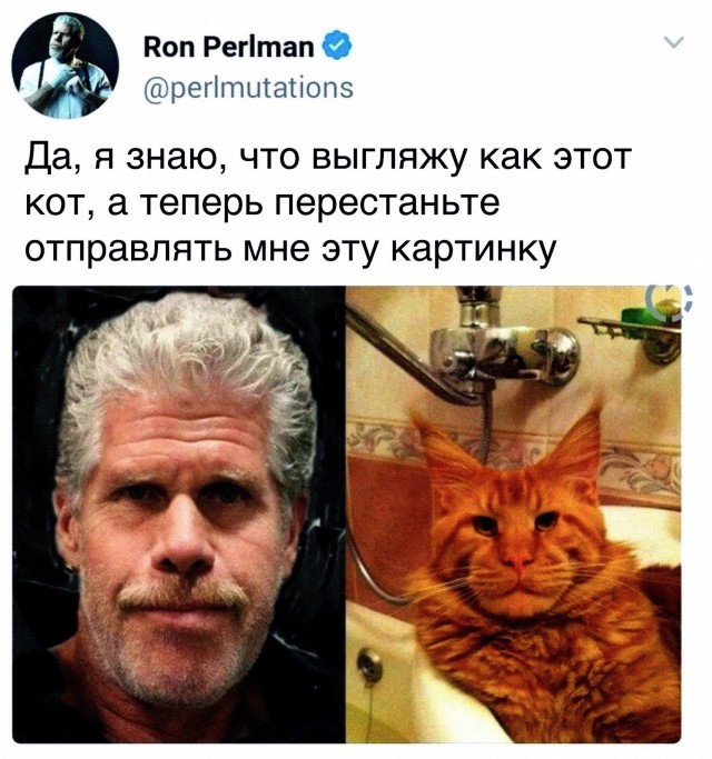 Рон Перлман. 74 годика. С днюхой!