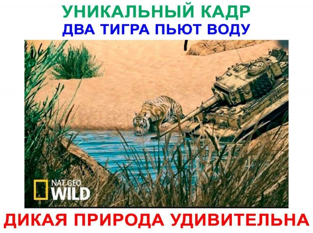 Никакие картинки
