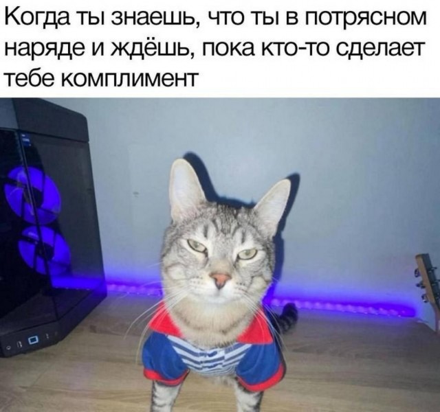 Отряд быстрого деградирования