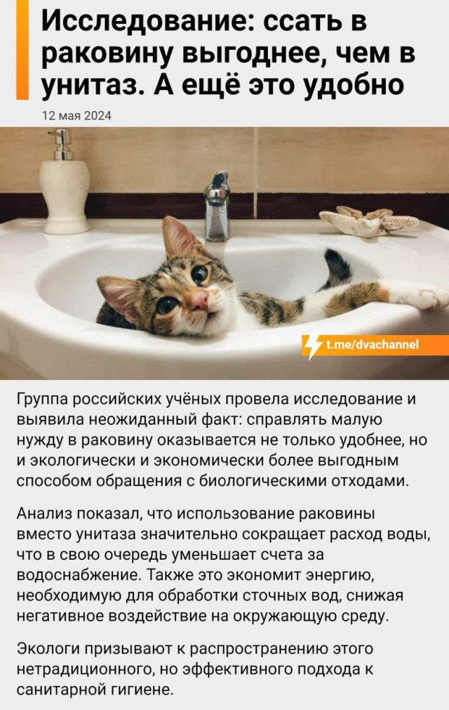 Всего понемногу. От 22.07.24
