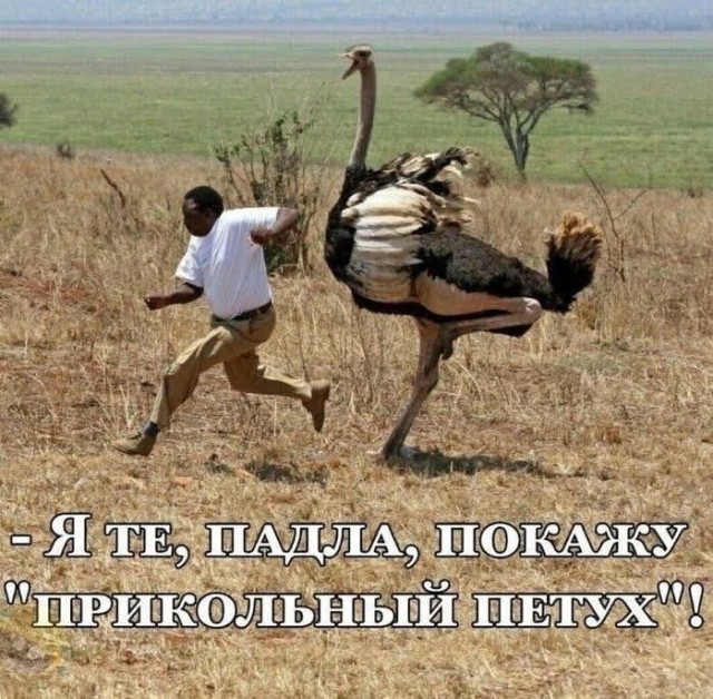 Так себе картинки 04.12.24