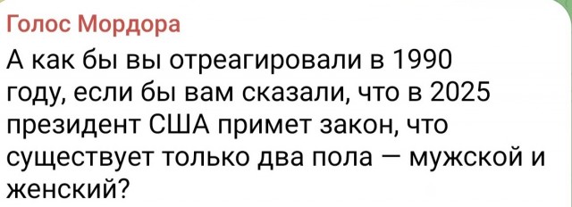 Нуштош 23.01.2025. Некоторое время во сне (s3e3)