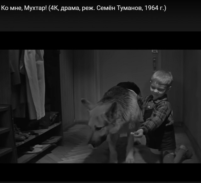Какая светлая фотография