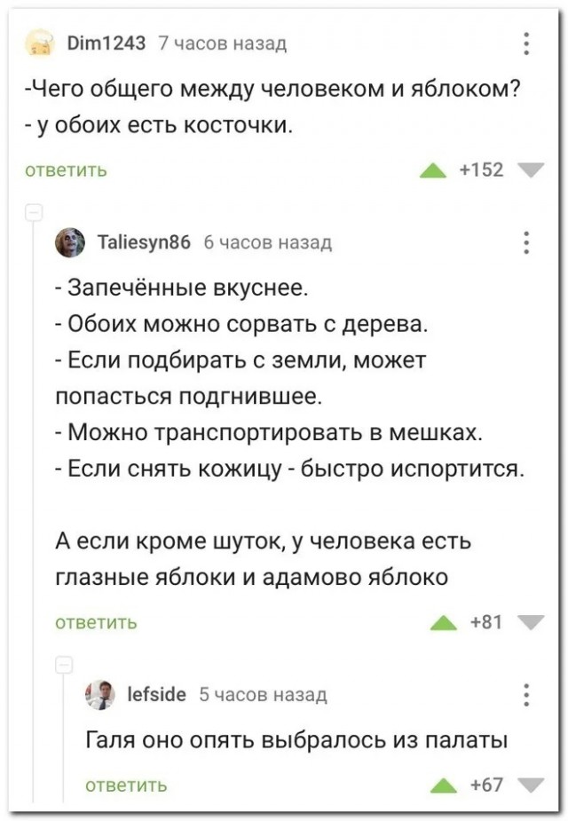 Баяны с распродажи