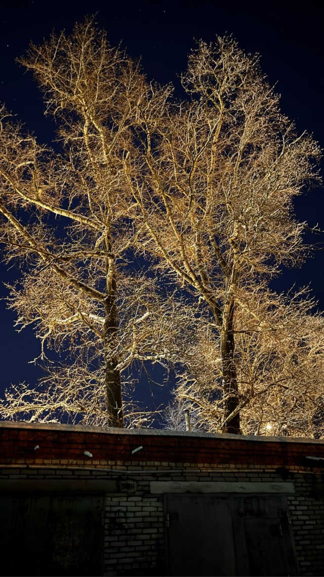 Красивое фото из телефона