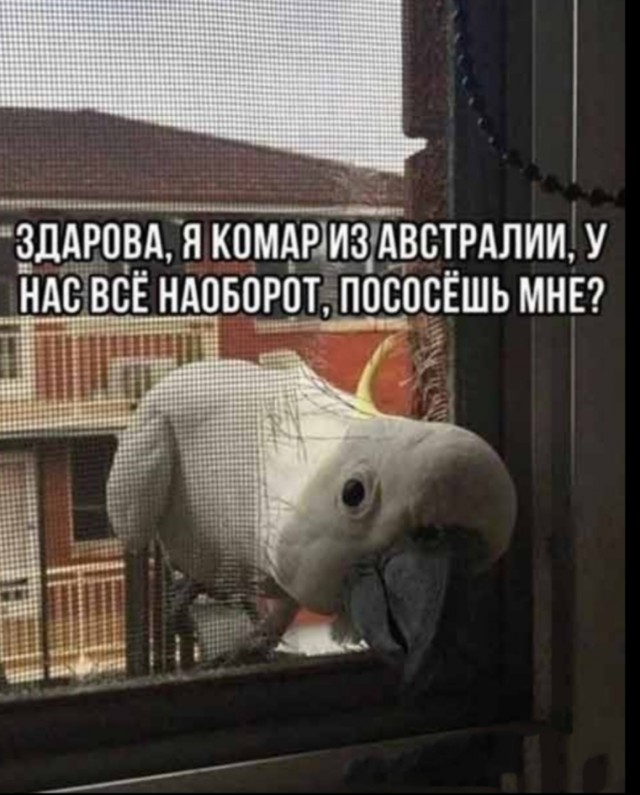 Отсутствие морально этических норм Vol.2