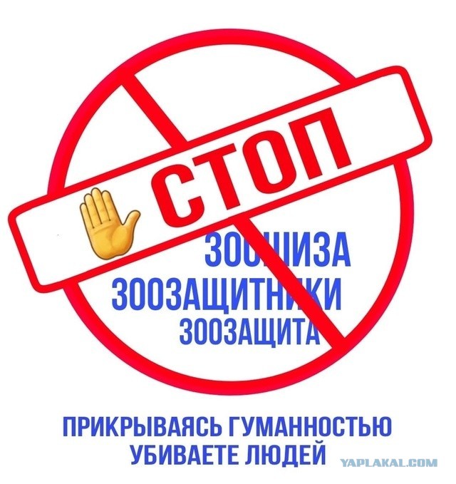 Депутат назвал зоозащитников зарубежным проектом по «уничтожению россиян»