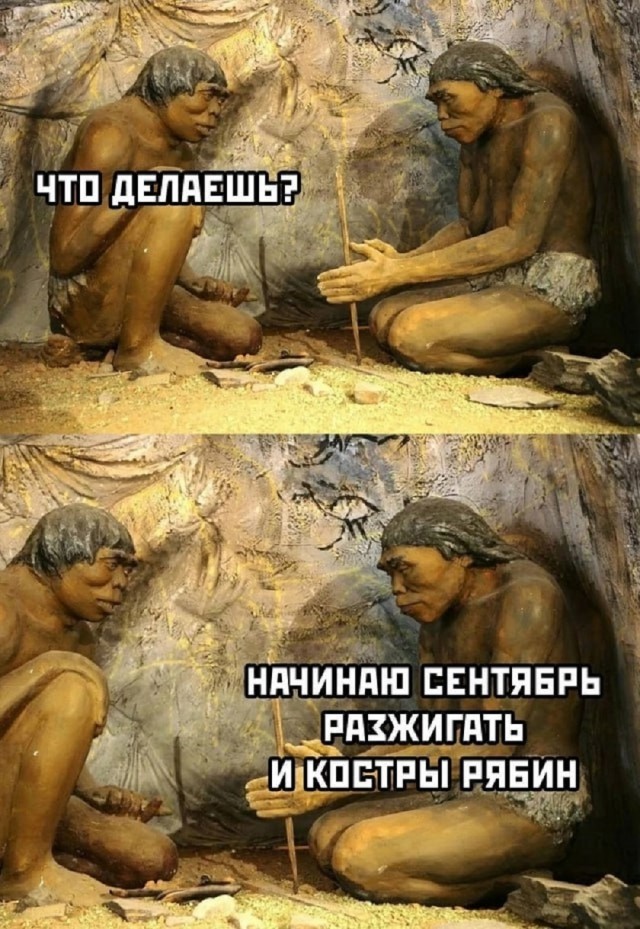 Так себе картинки 01.09.25