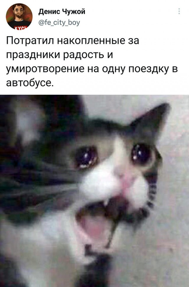 Веселые картинки в маленькую пятницу (12.11)