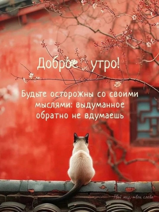 Воскресные картинки