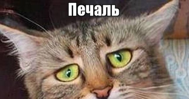 Паронормальное в реале