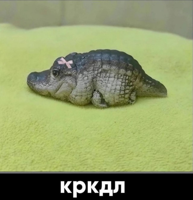 Так себе картинки 27.12.25