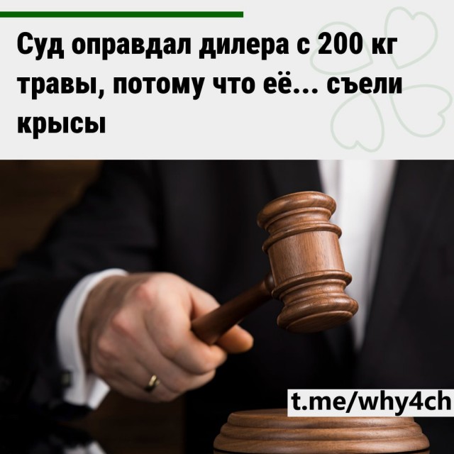 Иногда "крысы" помогают