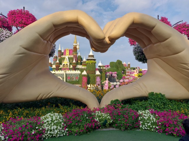 Дубайск в декабре