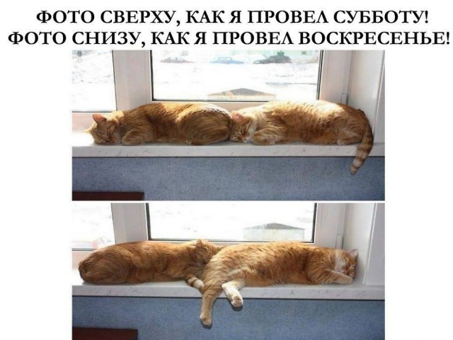Ударим по баянам ?‍↔️
