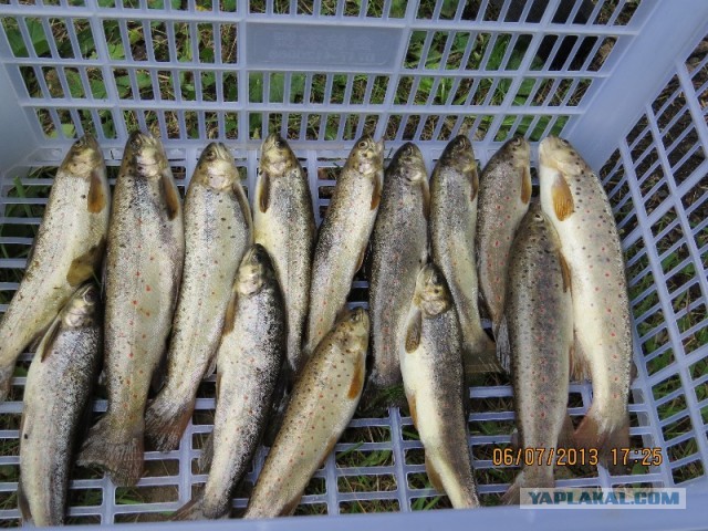 Отдых в Киргизии.