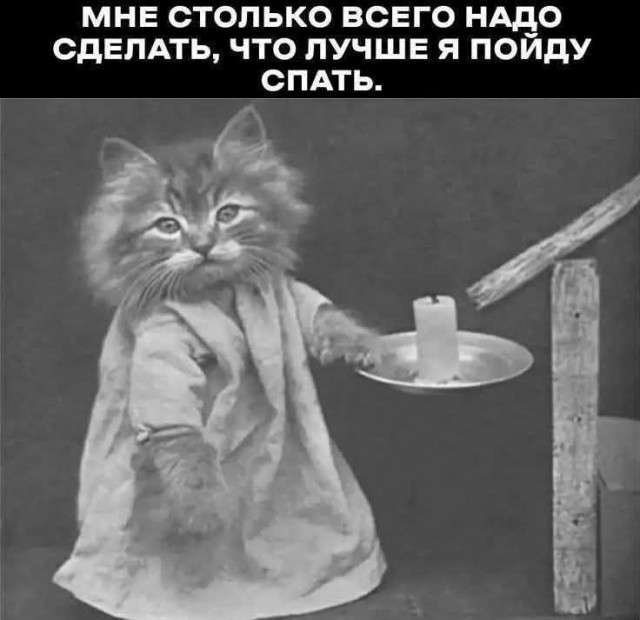 Среды картинки