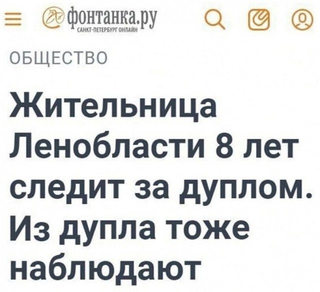 Картинки, надписи.