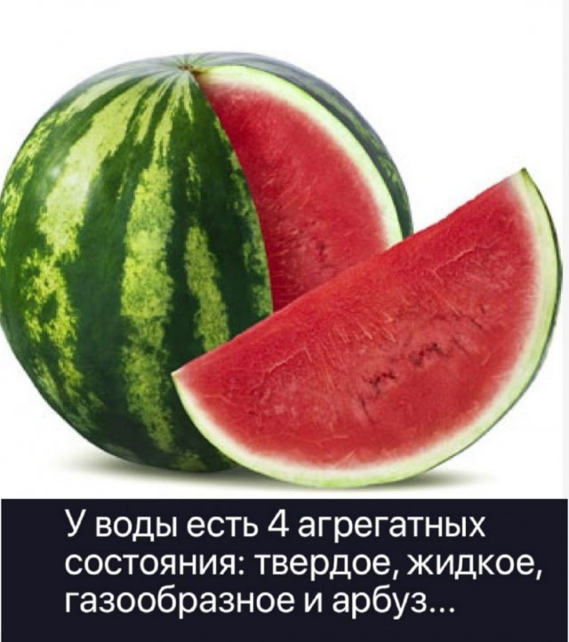 Забавные картинки, шутки из этих ваших интернетов