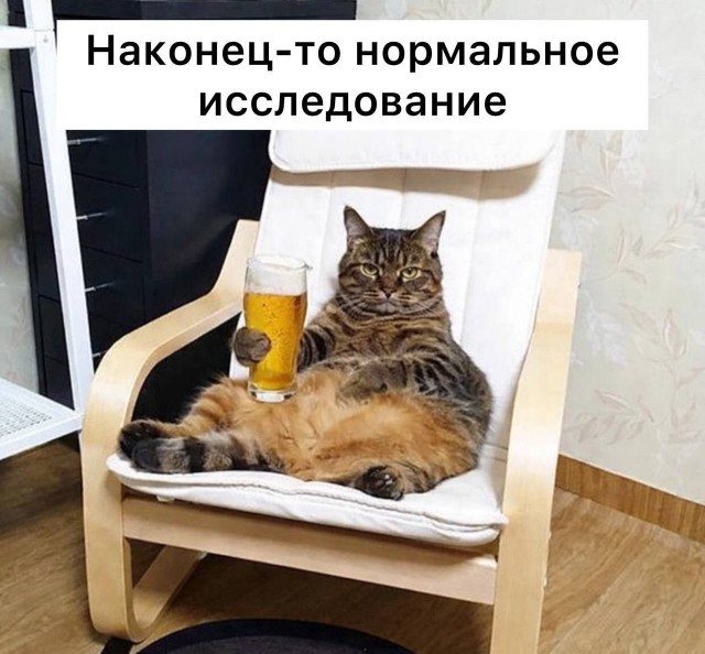 Пиво полезно пить после тренировки