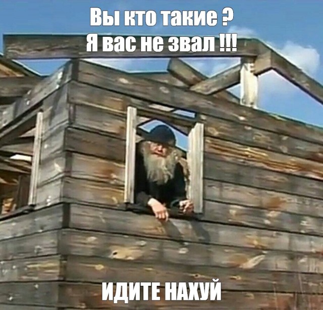 Пёс изо всех сил пытается прогнать кота со своего любимого места.