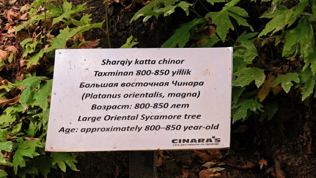 Путешествие в Узбекистан, день 5.