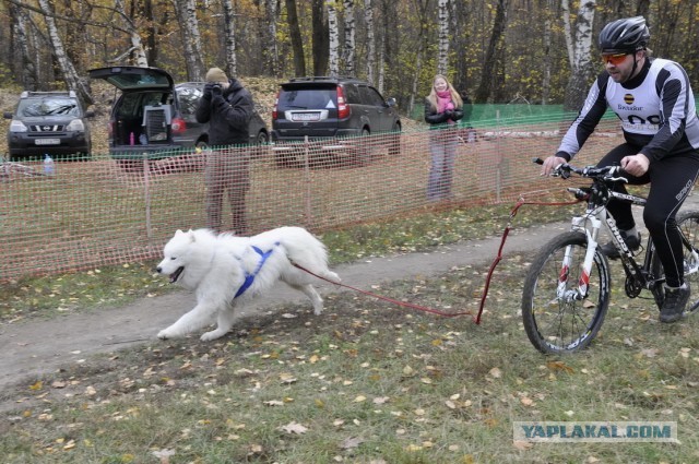 Счастье точно есть!