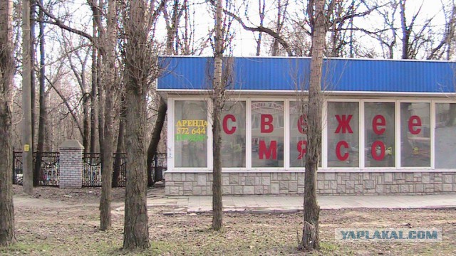 Маразмы года 2013