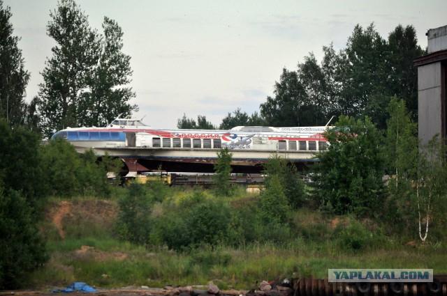 Путешествие по Неве