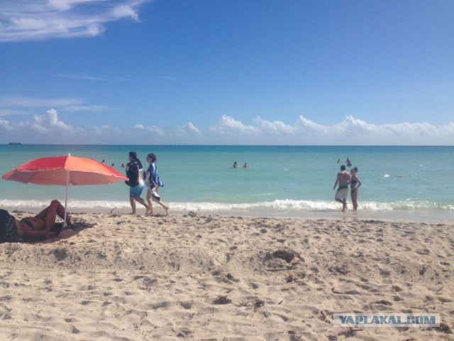 Поездка в Miami