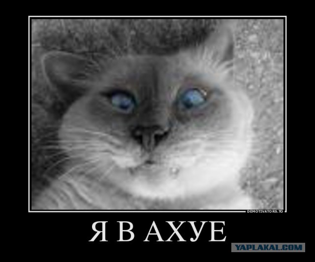 Социальные сети...