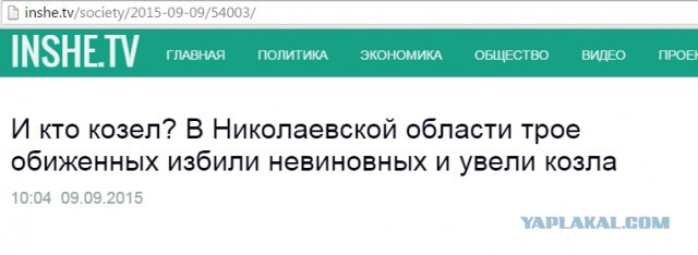 Прикольные картинки