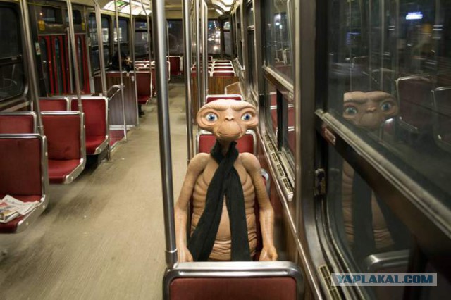 Подборка веселых картинок