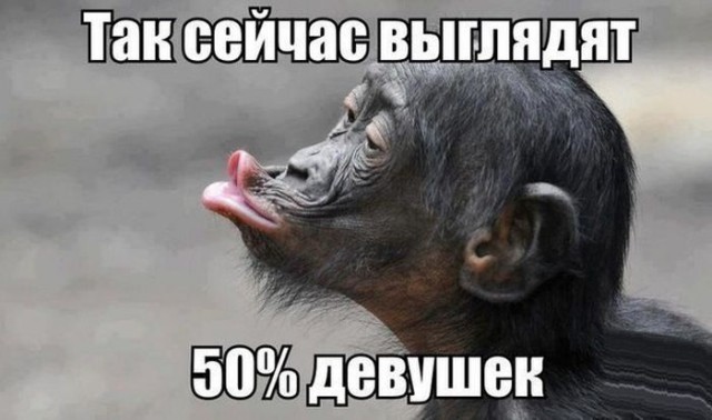 Смешные картинки с надписями 04.04.2016