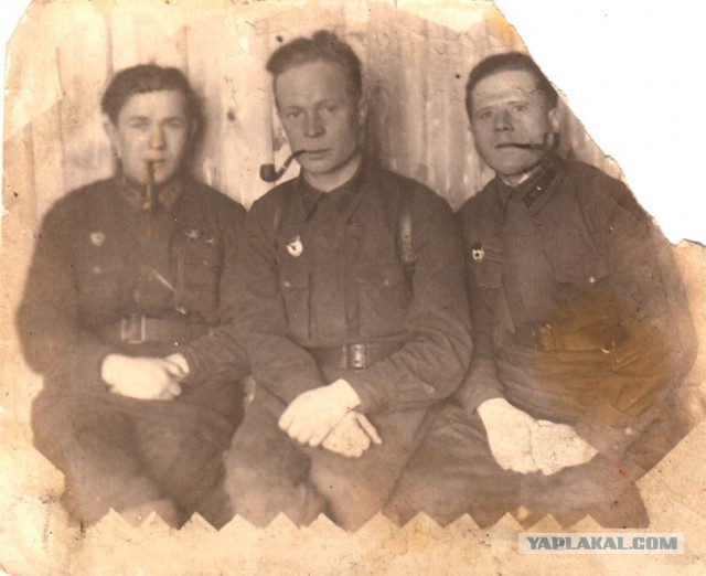 Бессмертный полк ЯПа