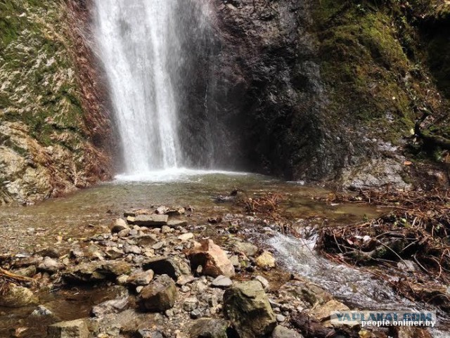 Песня о любви. Поехал в Венесуэлу и привез красавицу-жену